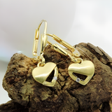 9K Gold Matt-Shiny Heart Leverback Earrings