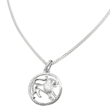 Leo Zodiac Pendant and Chain Set in Sterling Silver
